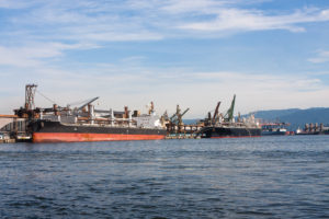 Cargo ships docked at the Port of Santos, Brazil